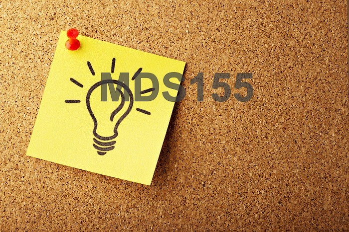 MDS155 Unsplash Stock